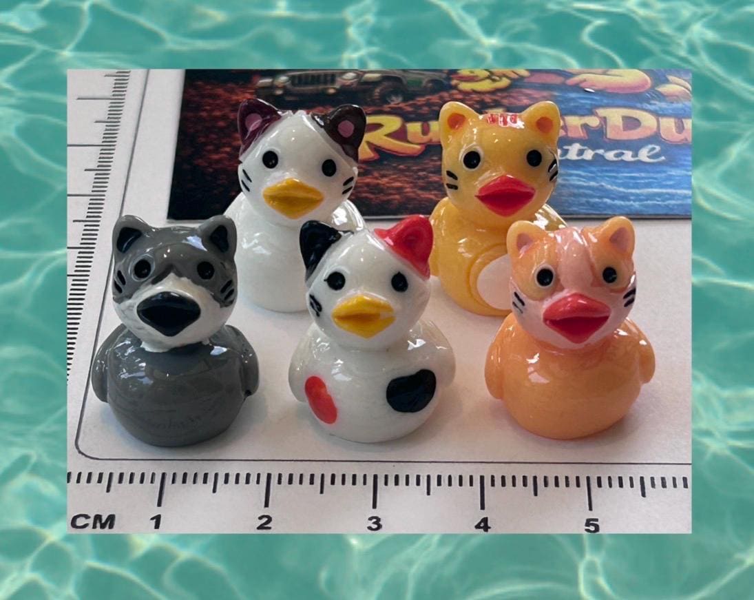 Set of 5, Cat Kitten Themed Mini Resin Ducks, Magnetic or Non-Magnetic, Optional Personalized Duck Hiding Tags