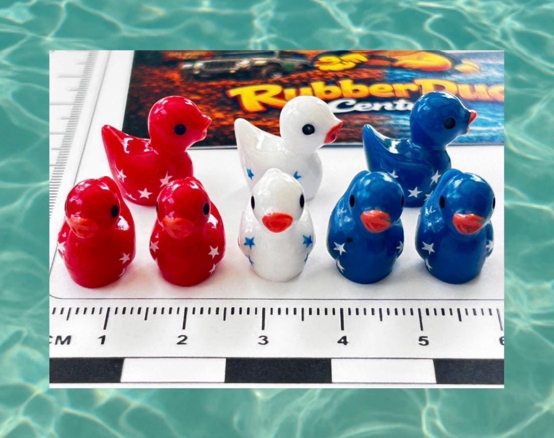 Set of 8, Patriotic Stars Themed Mini Resin Ducks, Magnetic or Non-Magnetic, Optional Personalized Duck Hiding Tags