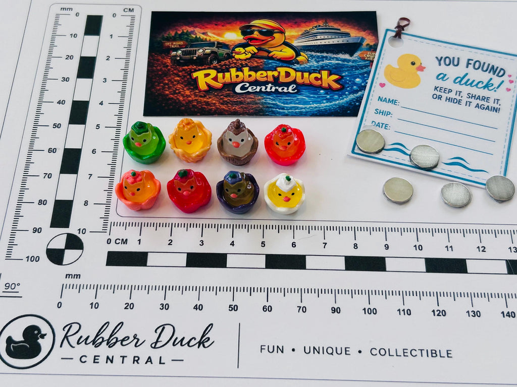 Set of 8, Fruit Themed Mini Resin Ducks, Magnetic or Non-Magnetic, Optional Personalized Duck Hiding Tags