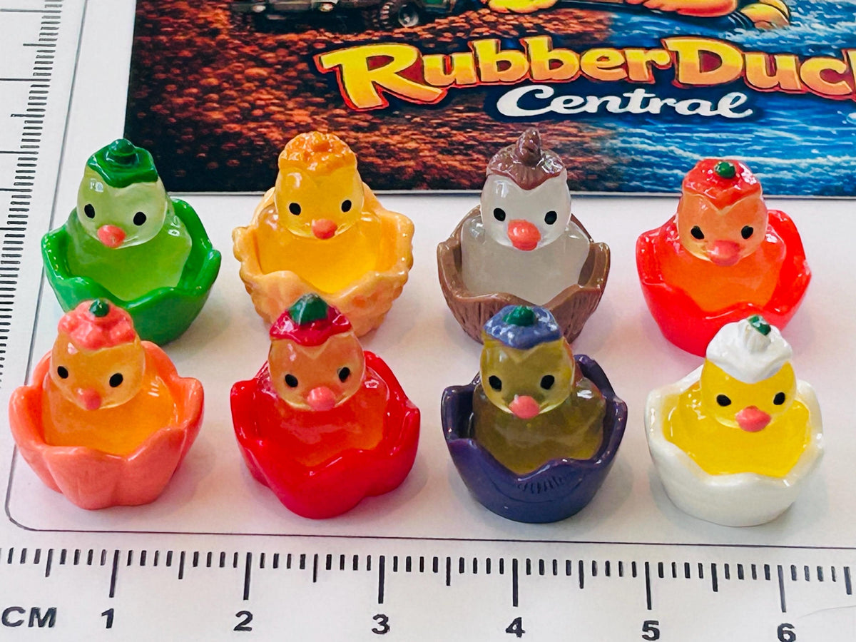 Set of 8, Fruit Themed Mini Resin Ducks, Magnetic or Non-Magnetic, Optional Personalized Duck Hiding Tags