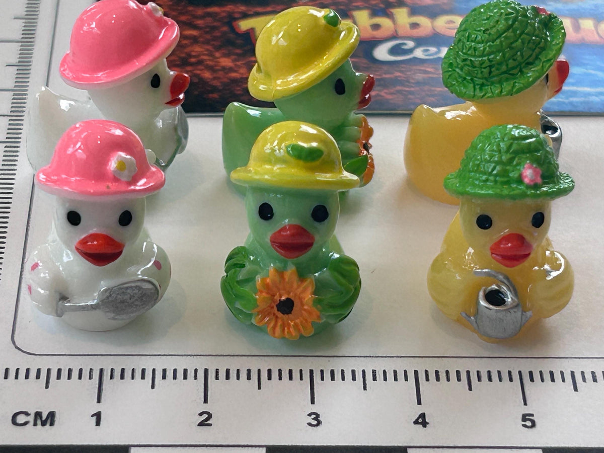 Set of 6, Flower Garden Themed Mini Resin Ducks, Magnetic or Non-Magnetic, Optional Personalized Duck Hiding Tags