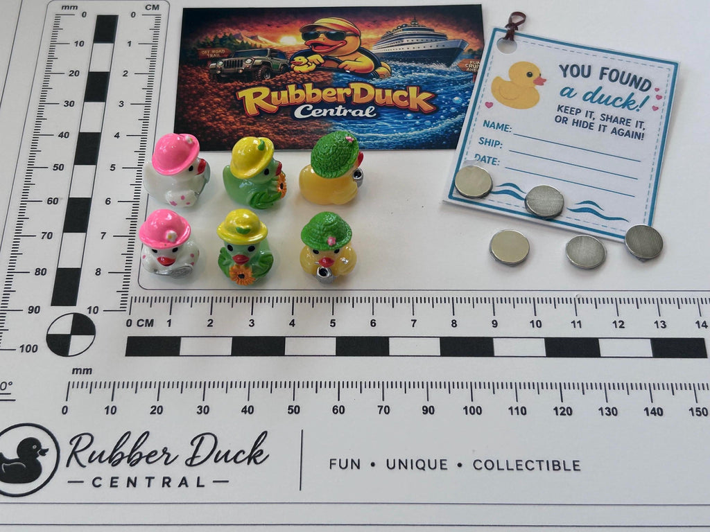 Set of 6, Flower Garden Themed Mini Resin Ducks, Magnetic or Non-Magnetic, Optional Personalized Duck Hiding Tags