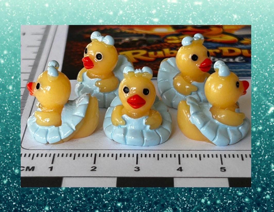 Set of 5, Blue Ballerina Themed Mini Resin Ducks, Magnetic or Non-Magnetic, Optional Personalized Duck Hiding Tags