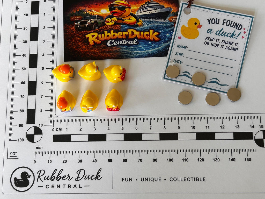 Set of 6, Beach Themed Mini Resin Ducks, Magnetic or Non-Magnetic, Optional Personalized Duck Hiding Tags