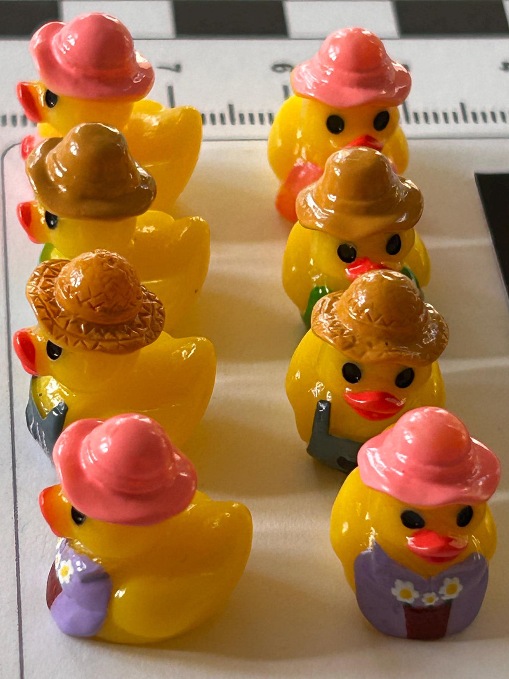 Set of 8, Gardening Fun Themed Mini Resin Ducks, Magnetic or Non-Magnetic, Optional Personalized Duck Hiding Tags