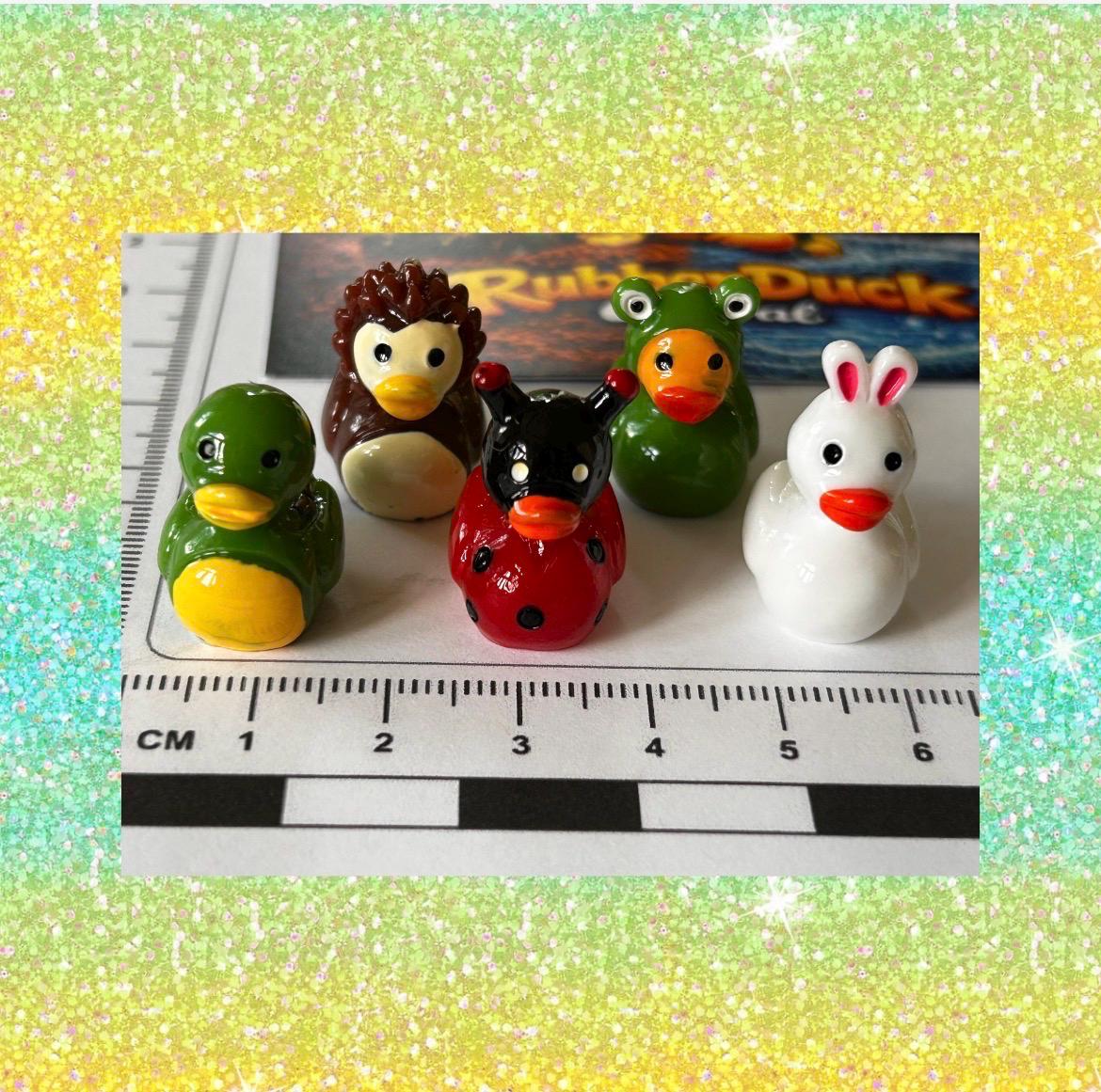 Set of 5, Forest Animal Themed Mini Resin Ducks, Magnetic or Non-Magnetic, Optional Personalized Duck Hiding Tags