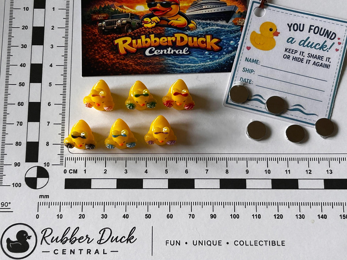 Set of 6, Cheerleader Themed Mini Resin Ducks, Magnetic or Non-Magnetic, Optional Personalized Duck Hiding Tags