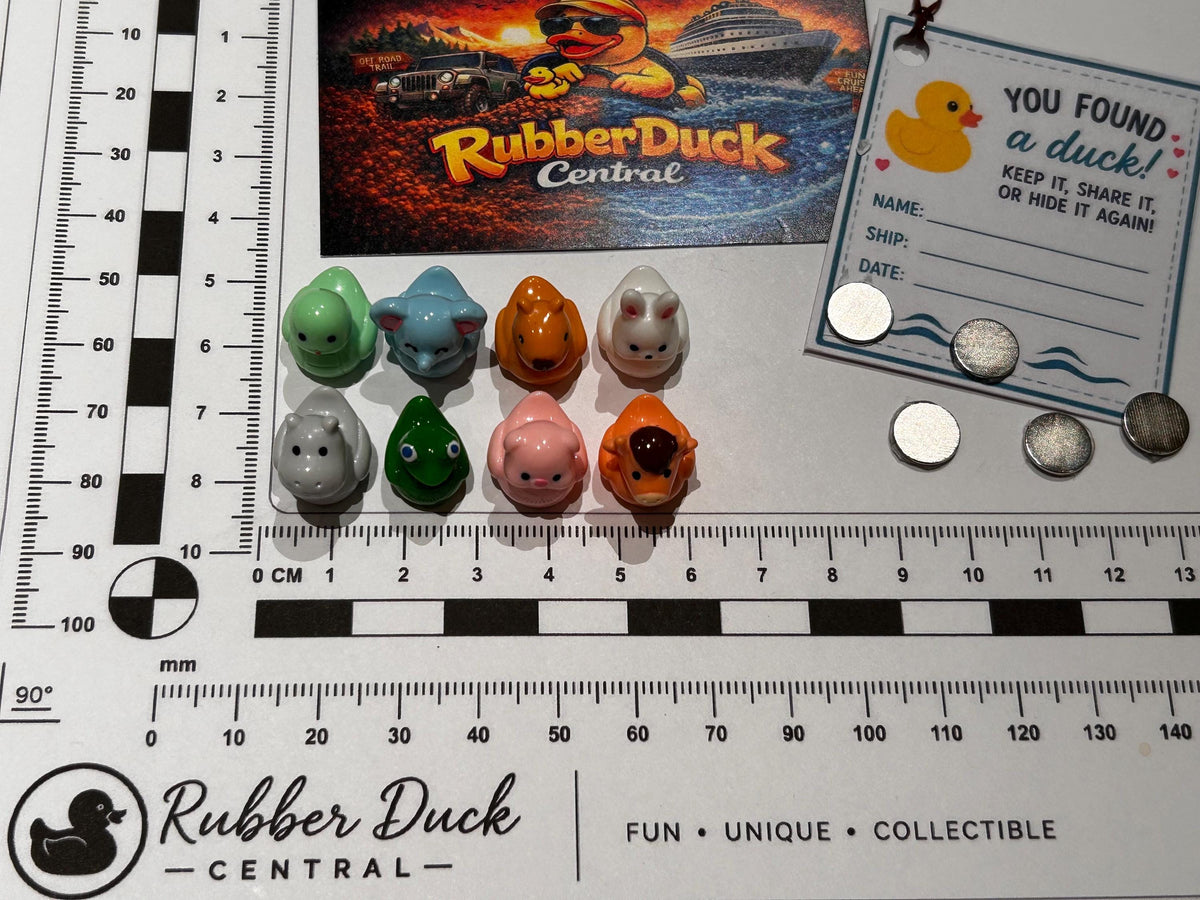 Set of 8, Mixed Animal (Set 3) Themed Mini Resin Ducks, Magnetic or Non-Magnetic, Optional Personalized Duck Hiding Tags