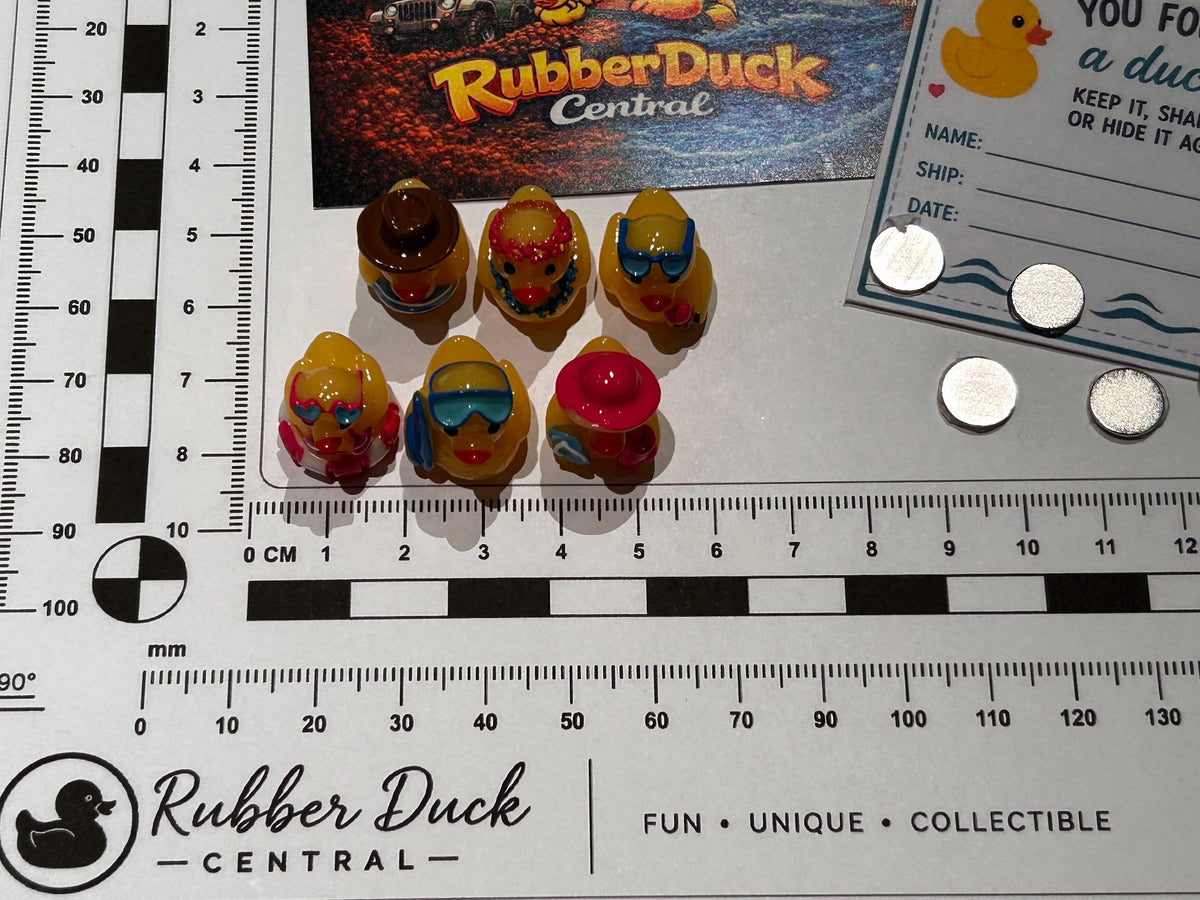 Set of 6, Vacation Time Fun Themed Mini Resin Ducks, Magnetic or Non-Magnetic, Optional Personalized Duck Hiding Tags