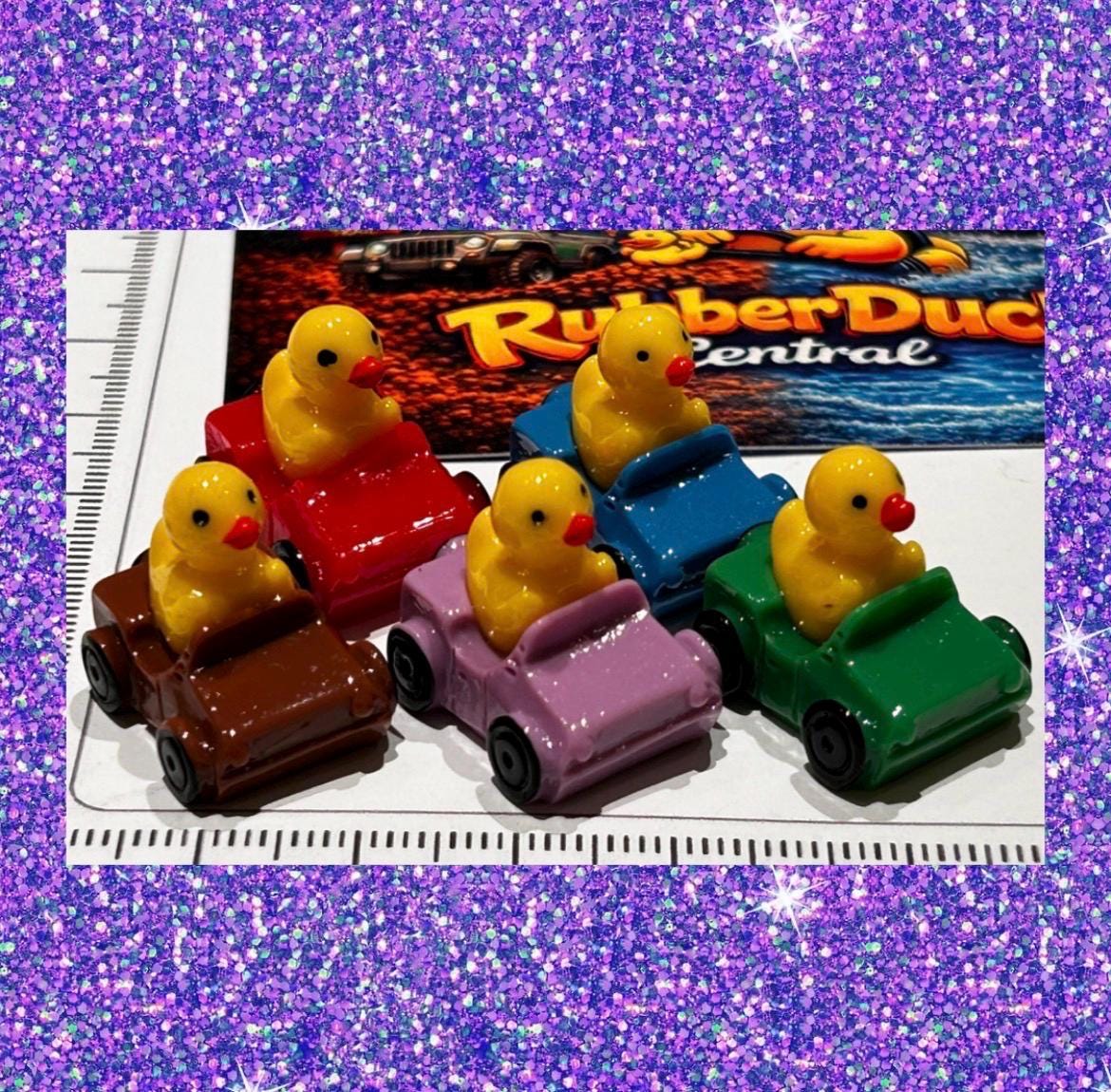 Set of 5, Ducks in Cars/Jeeps Themed Mini Resin Ducks, Magnetic or Non-Magnetic, Optional Personalized Duck Hiding Tags