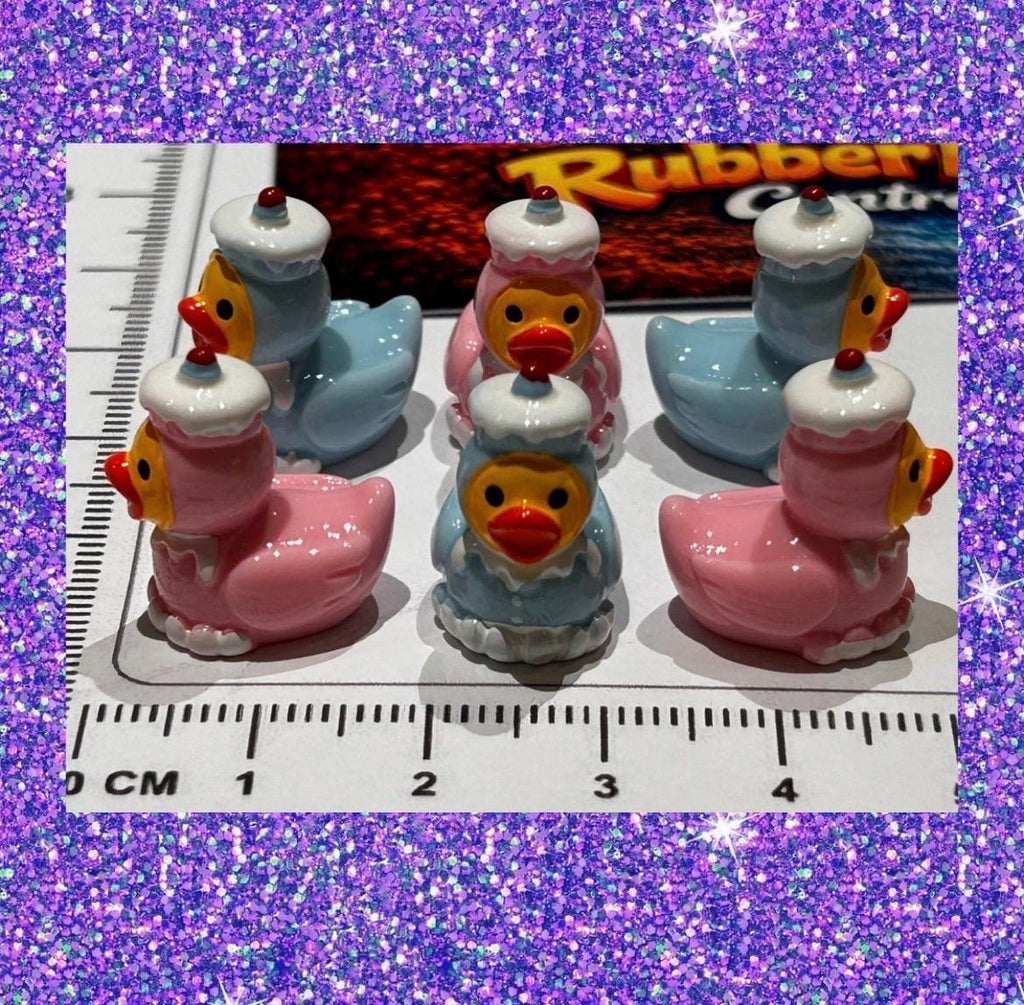 Set of 6, Pink and Blue Cupcake Themed Mini Resin Ducks, Magnetic or Non-Magnetic, Optional Personalized Duck Hiding Tags