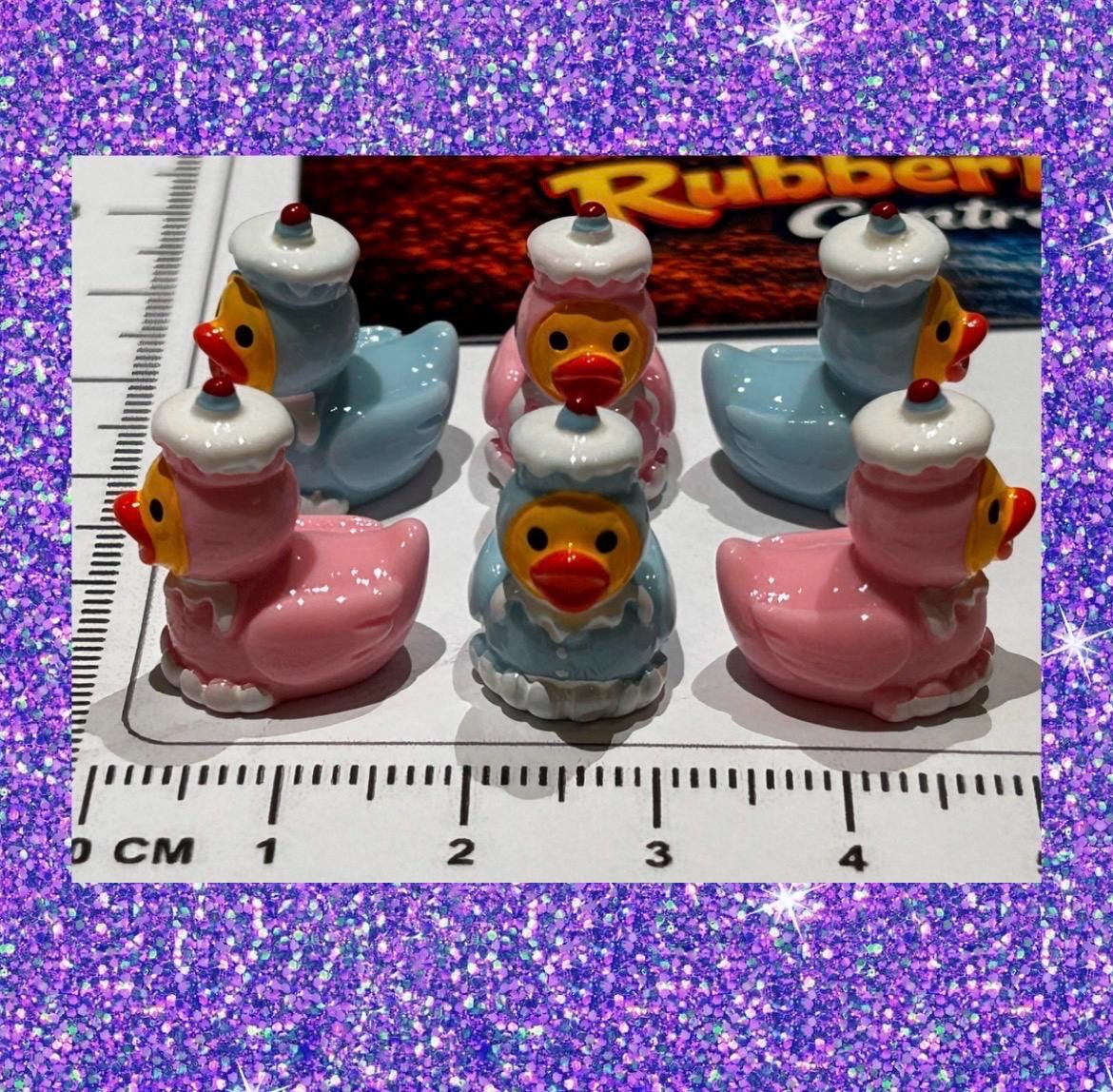 Set of 6, Pink and Blue Cupcake Themed Mini Resin Ducks, Magnetic or Non-Magnetic, Optional Personalized Duck Hiding Tags