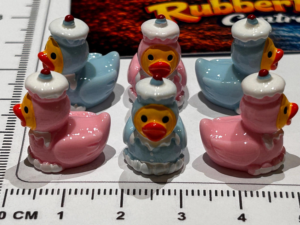 Set of 6, Pink and Blue Cupcake Themed Mini Resin Ducks, Magnetic or Non-Magnetic, Optional Personalized Duck Hiding Tags