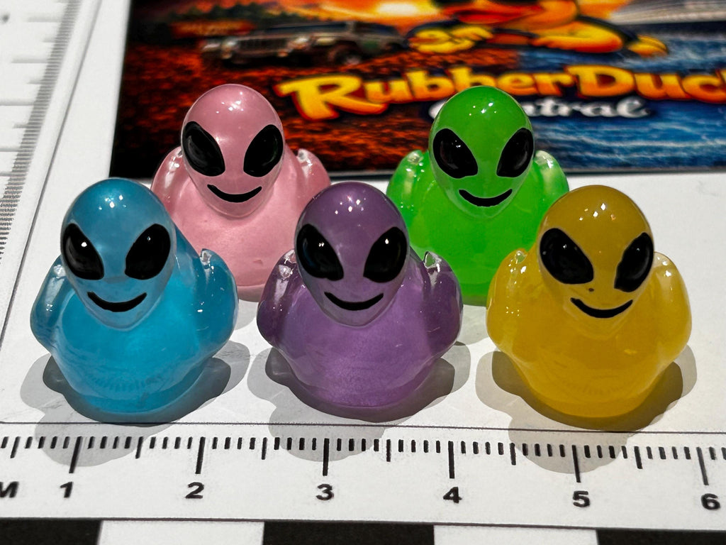 Set of 5, Glow-in-the-Dark Colorful Alien Themed Mini Resin Ducks, Magnetic or Non-Magnetic, Optional Personalized Duck Hiding Tags