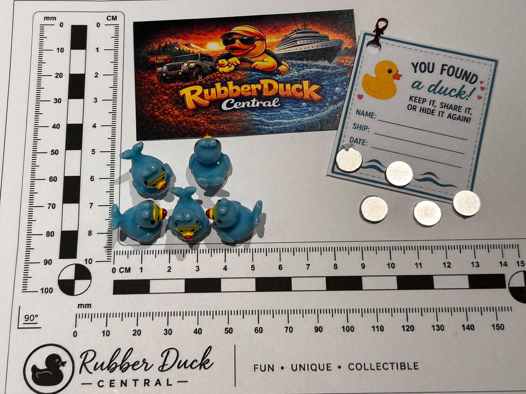 Set of 5, Whale Themed Mini Resin Ducks, Magnetic or Non-Magnetic, Optional Personalized Duck Hiding Tags