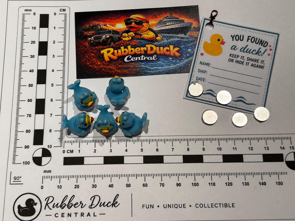 Set of 5, Whale Themed Mini Resin Ducks, Magnetic or Non-Magnetic, Optional Personalized Duck Hiding Tags