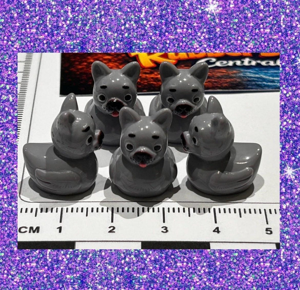 Set of 5, French Bulldog Themed Mini Resin Ducks, Magnetic or Non-Magnetic, Optional Personalized Duck Hiding Tags