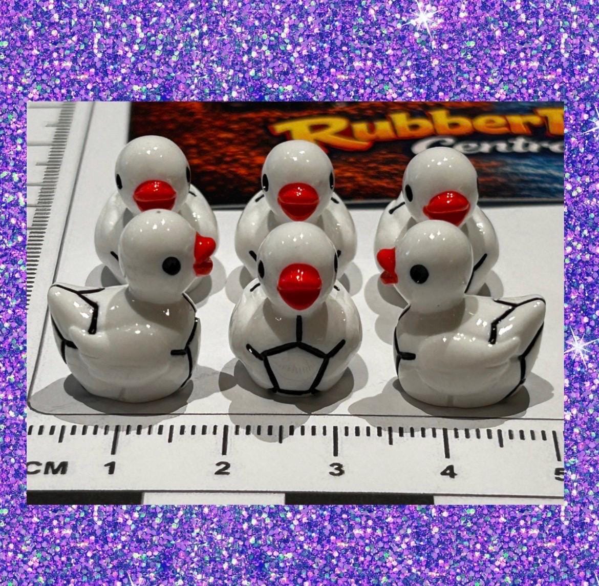 Set of 6, Soccer Ball Themed Mini Resin Ducks, Magnetic or Non-Magnetic, Optional Personalized Duck Hiding Tags