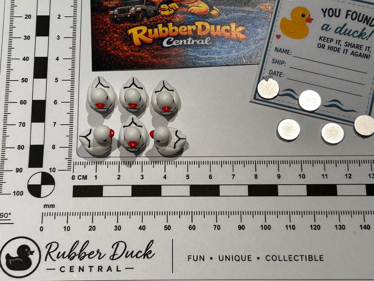 Set of 6, Soccer Ball Themed Mini Resin Ducks, Magnetic or Non-Magnetic, Optional Personalized Duck Hiding Tags