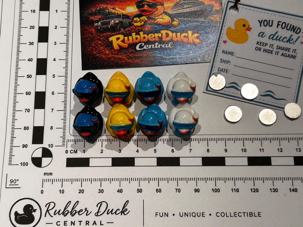 Set of 8, Snorkeling Themed Mini Resin Ducks, Magnetic or Non-Magnetic, Optional Personalized Duck Hiding Tags