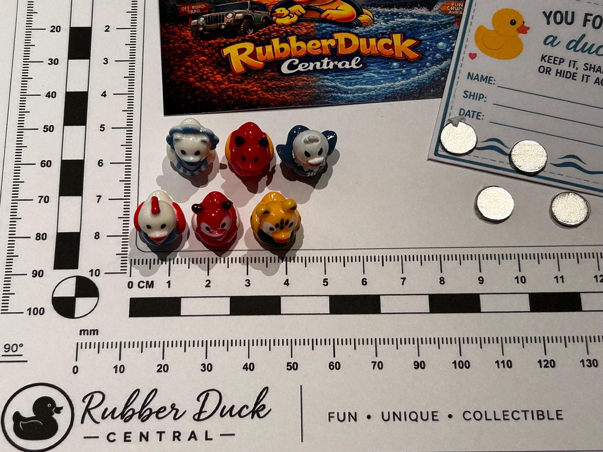 Set of 6, Animal Mascot Soccer Themed Mini Resin Ducks, Magnetic or Non-Magnetic, Optional Personalized Duck Hiding Tags
