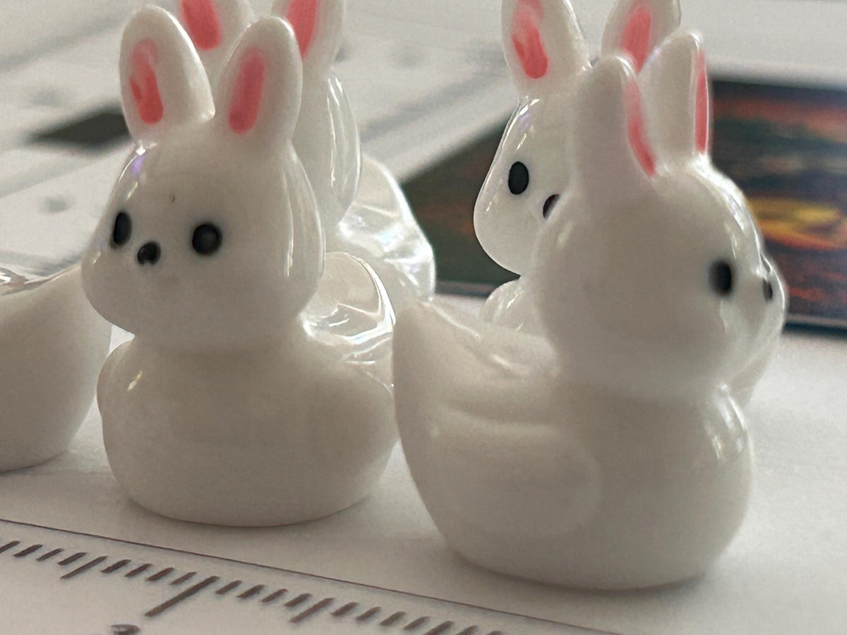 Set of 5, Bunny Rabbit Themed Mini Resin Ducks, Magnetic or Non-Magnetic, Optional Personalized Duck Hiding Tags