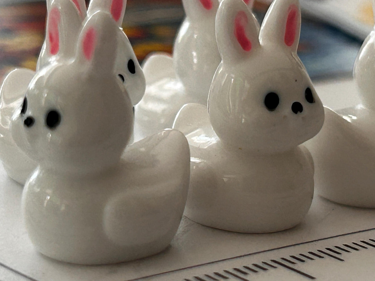 Set of 5, Bunny Rabbit Themed Mini Resin Ducks, Magnetic or Non-Magnetic, Optional Personalized Duck Hiding Tags