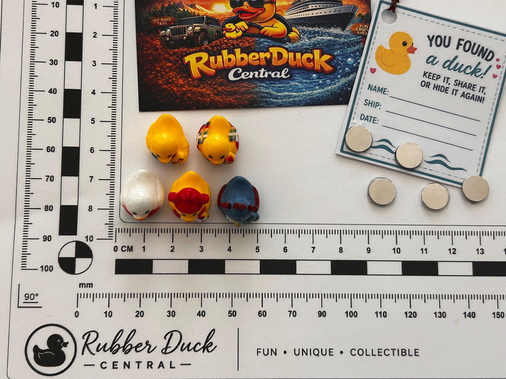 Set of 5, Soccer Teams World Cup (Set 2) Themed Mini Resin Ducks, Magnetic or Non-Magnetic, Optional Personalized Duck Hiding Tags