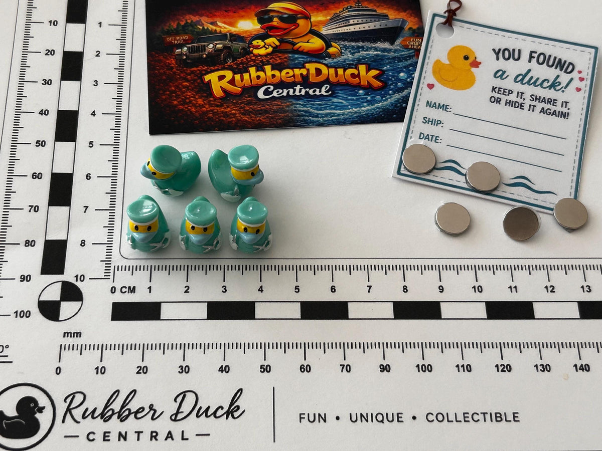 Set of 5, Medical Doctor Themed Mini Resin Ducks, Magnetic or Non-Magnetic, Optional Personalized Duck Hiding Tags