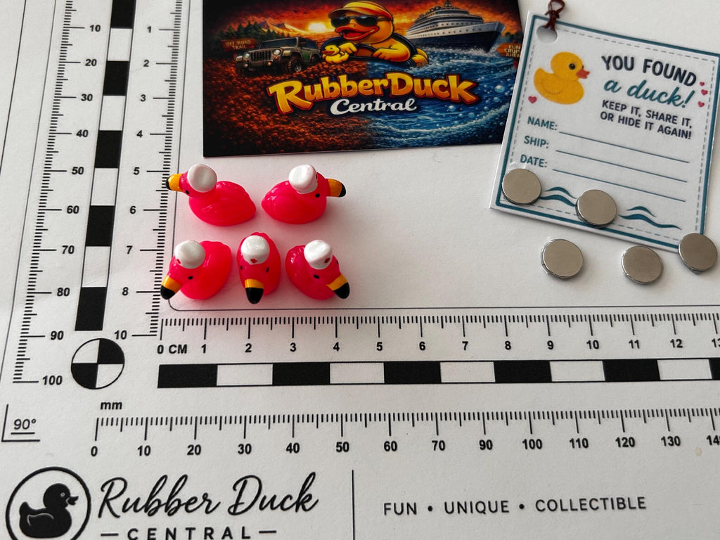 Set of 5, Flamingo Nurse Themed Mini Resin Ducks, Magnetic or Non-Magnetic, Optional Personalized Duck Hiding Tags