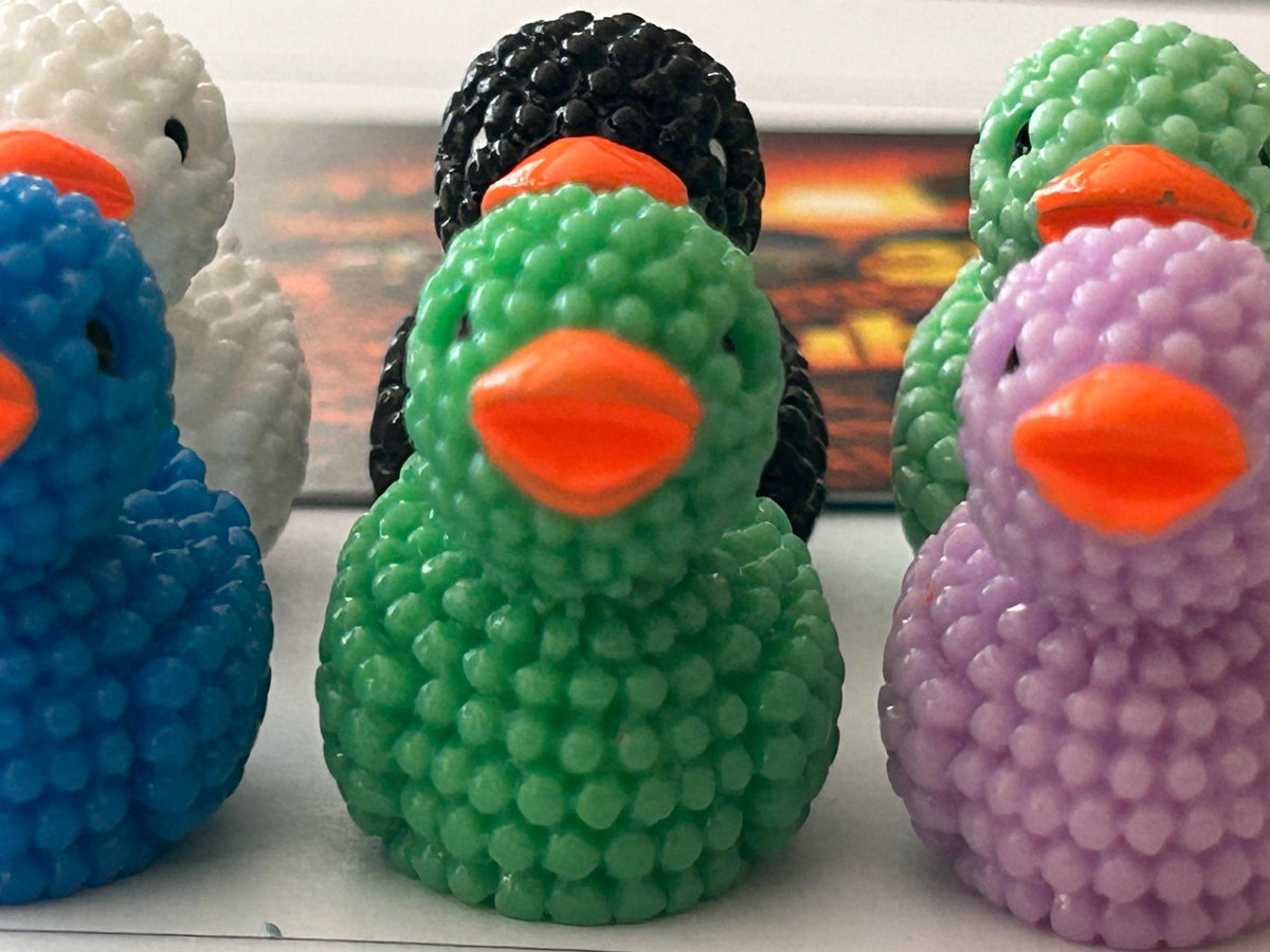 Set of 6, Textured Mini Resin Ducks, Magnetic or Non-Magnetic, Optional Personalized Duck Hiding Tags