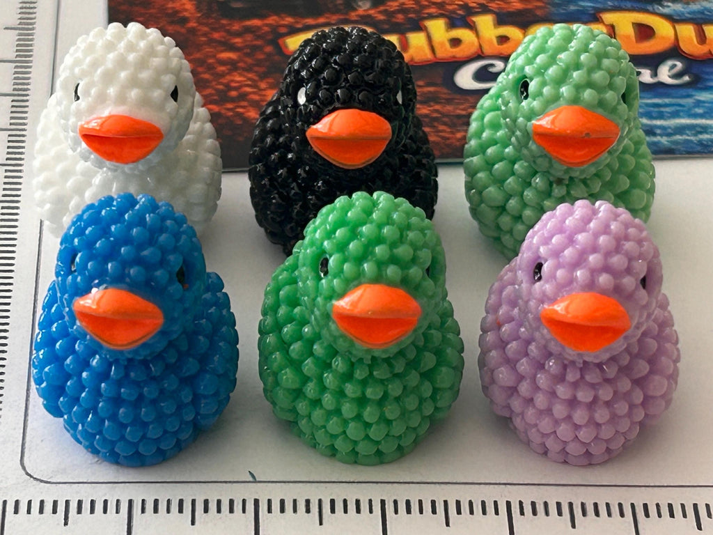 Set of 6, Textured Mini Resin Ducks, Magnetic or Non-Magnetic, Optional Personalized Duck Hiding Tags