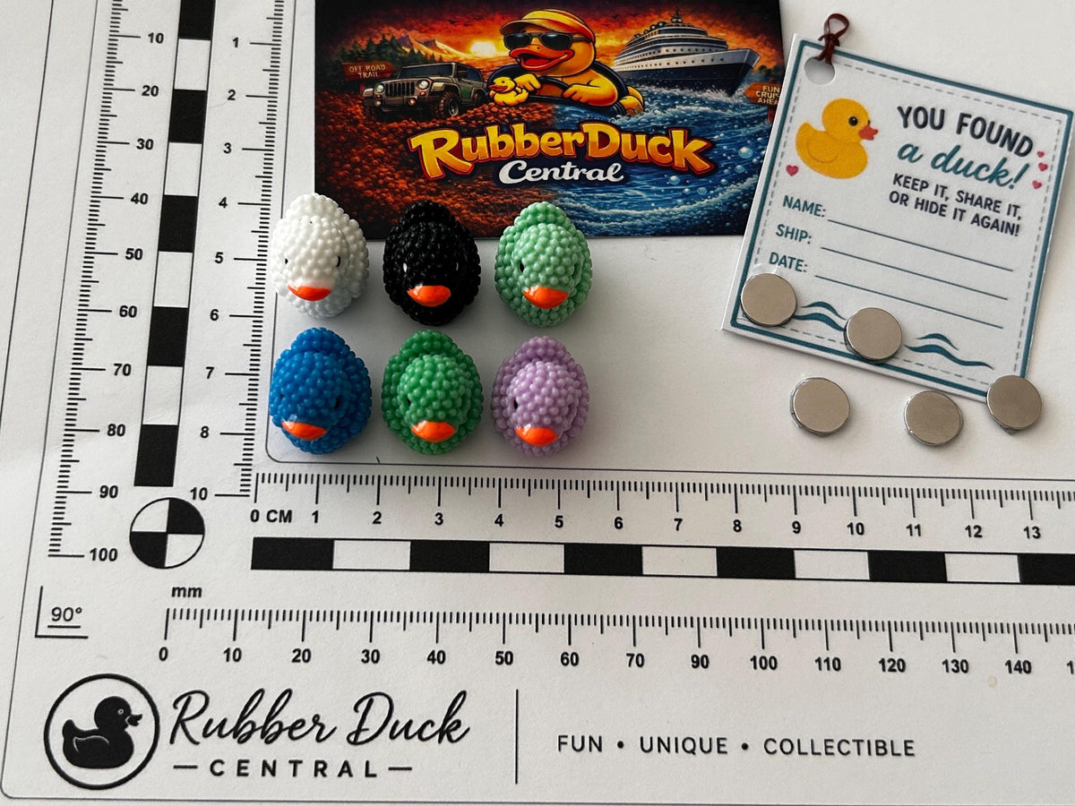 Set of 6, Textured Mini Resin Ducks, Magnetic or Non-Magnetic, Optional Personalized Duck Hiding Tags