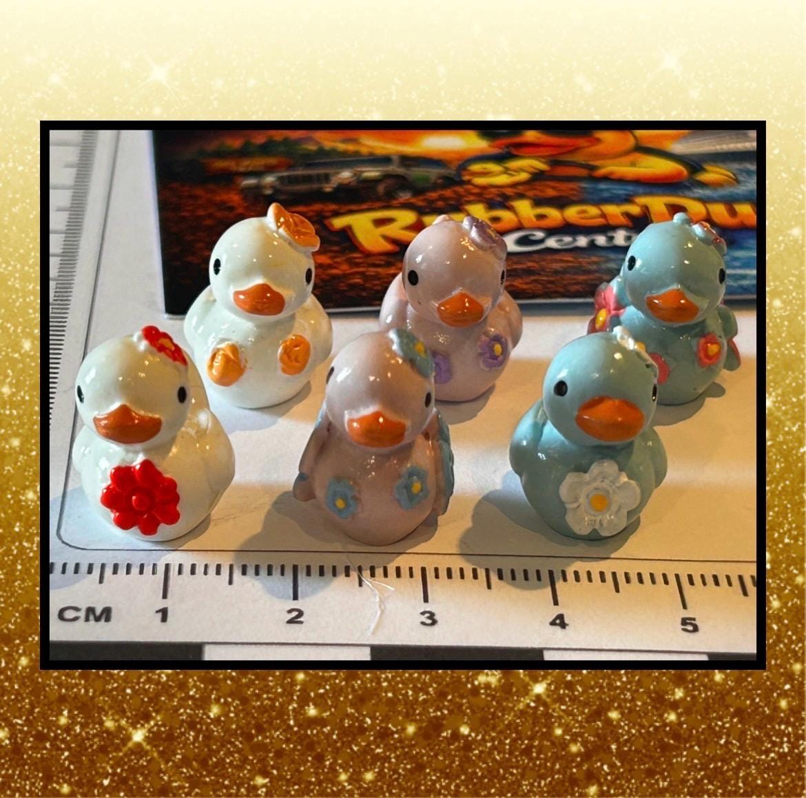 Set of 6, Floral Themed Mini Resin Ducks, Magnetic or Non-Magnetic, Optional Personalized Duck Hiding Tags