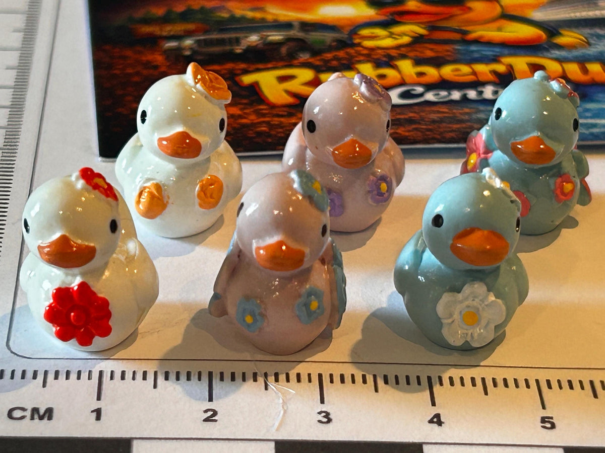 Set of 6, Floral Themed Mini Resin Ducks, Magnetic or Non-Magnetic, Optional Personalized Duck Hiding Tags