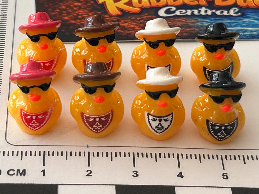 Set of 8, Cowboy Hat and Scarf Themed Mini Resin Ducks, Magnetic or Non-Magnetic, Optional Personalized Duck Hiding Tags