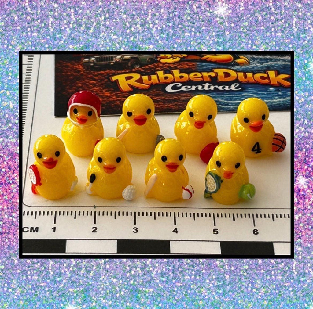 Set of 8, Sports Themed Mini Resin Ducks, Magnetic or Non-Magnetic, Optional Personalized Duck Hiding Tags