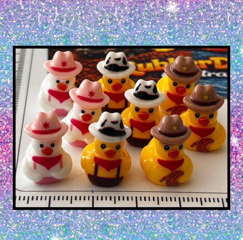 Set of 9, Western Wear Themed Mini Resin Ducks, Magnetic or Non-Magnetic, Optional Personalized Duck Hiding Tags