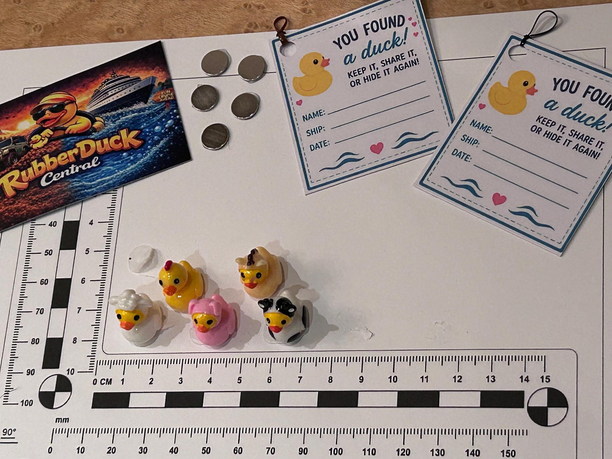Set of 5, Farm Animal Themed Mini Resin Ducks, Magnetic or Non-Magnetic, Optional Personalized Duck Hiding Tags