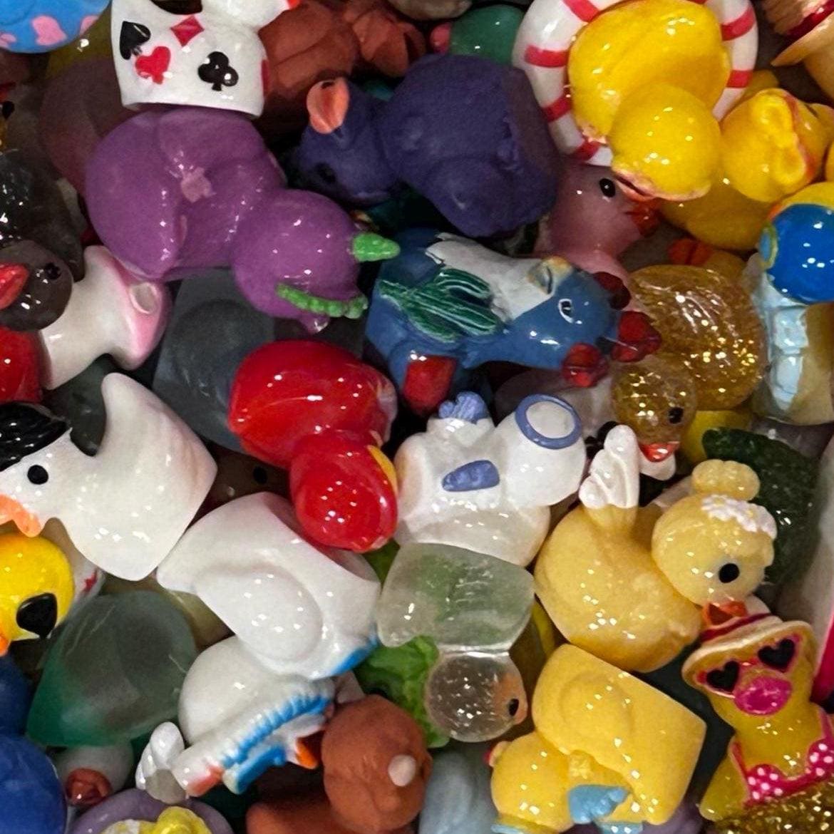 Mini Resin Duck Mystery Scoop – No Duplicates (Magnet Option) XS-XL