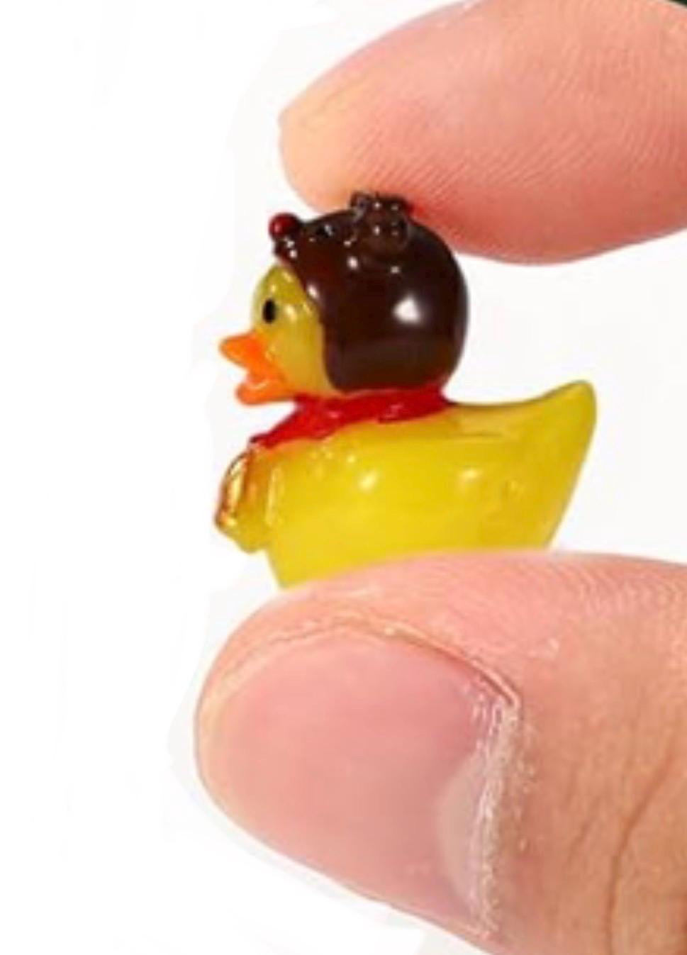 Set of 8, Christmas Mix (Set #2) Themed Mini Resin Ducks, Magnetic or Non-Magnetic, Optional Personalized Duck Hiding Tags