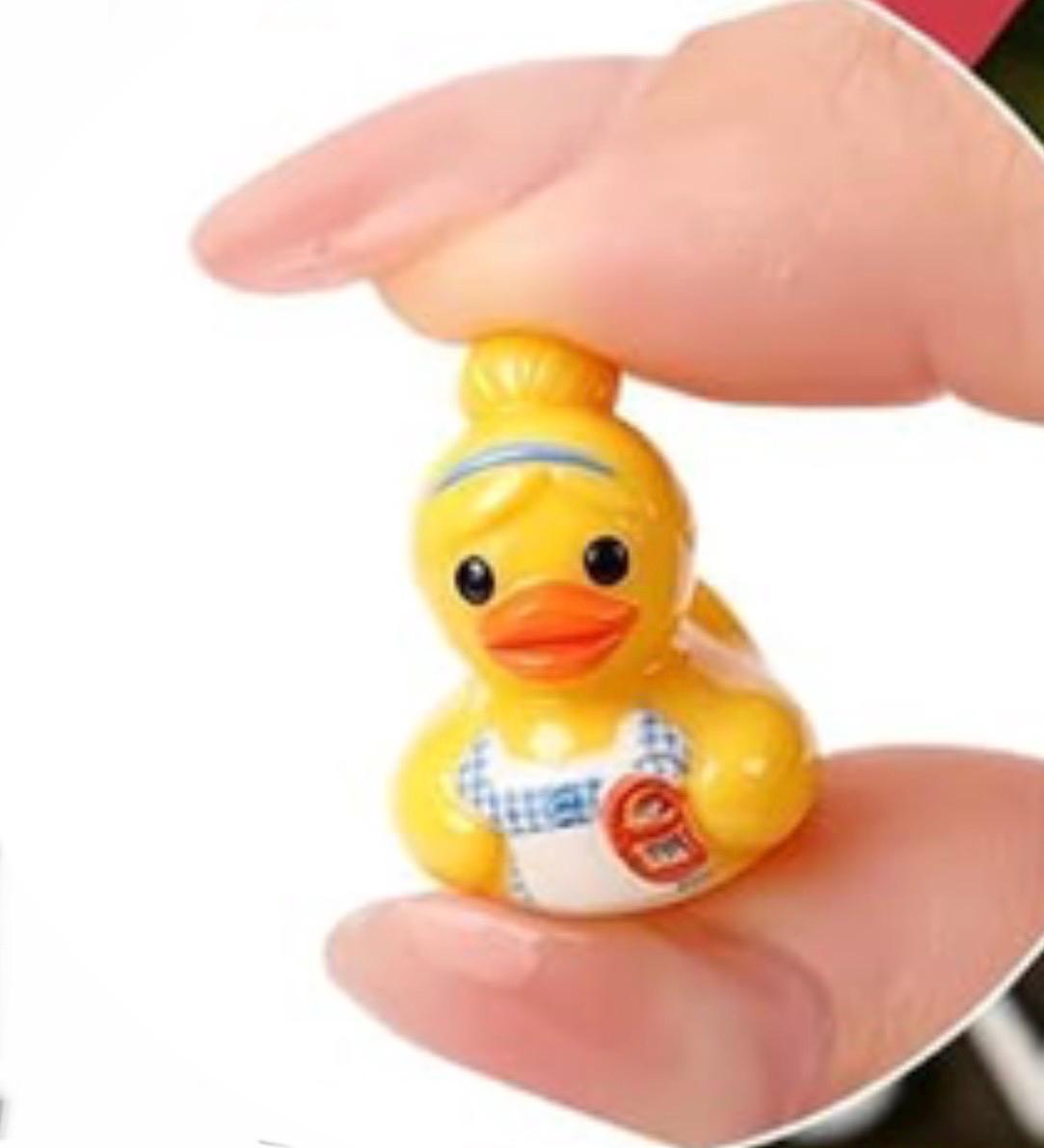Set of 6, Octoberfeste (Set #2) Themed Mini Resin Ducks, Magnetic or Non-Magnetic, Optional Personalized Duck Hiding Tags